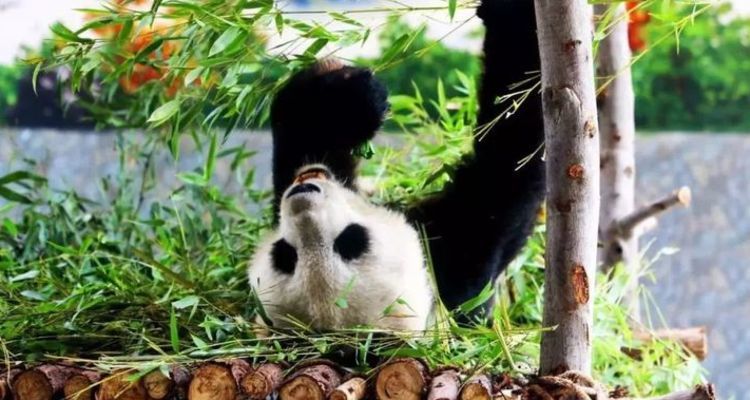 C4d280f0 3ff7 45fb b0f0 f588ebc2afb1